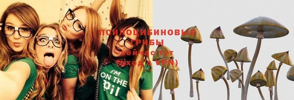 шишки Сатка