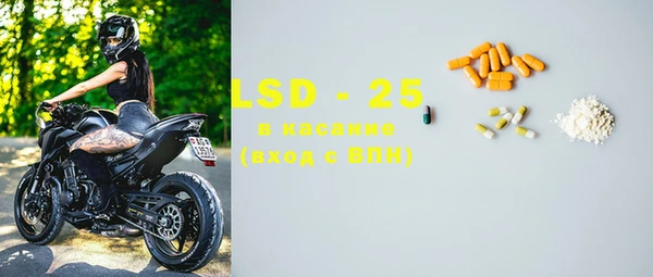 шишки Сатка