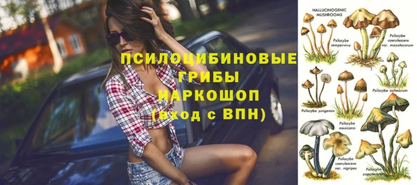 винт Сафоново