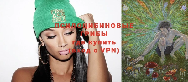 шишки Сатка